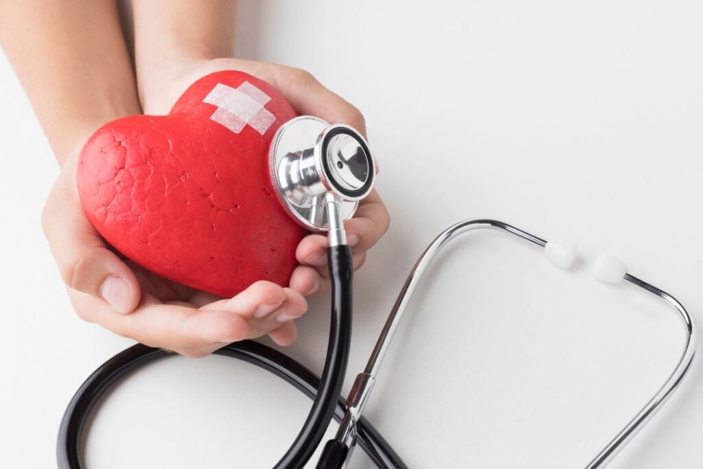 Stethoscope examining heart model.