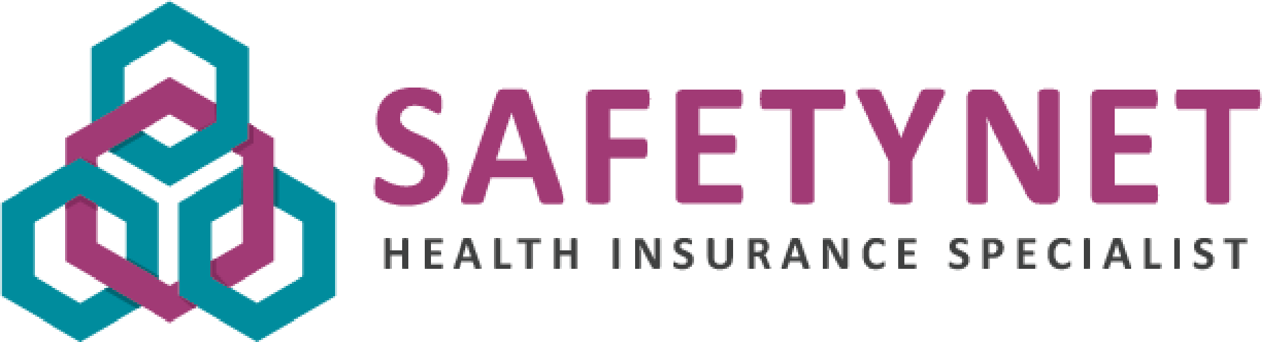 Safetynet logo